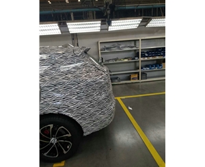 汽車偽裝衣和汽車偽裝膜 (2)